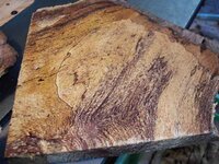 timber preparation 281_(1).jpg