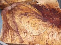 timber preparation 284_(1).jpg