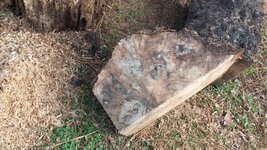 20170123_154302[1].jpg