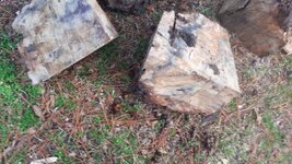 20170123_154250[1].jpg