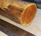 woodType.jpg