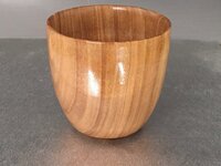 Japanese Elm cup.jpg