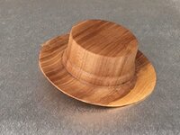 Japanese Elm hat.jpg