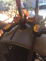 IMG_4498.JPG