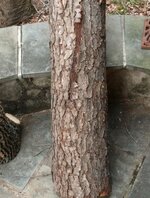 IMG_1054.jpg