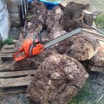 maple burls small1.jpg