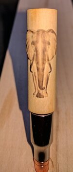 elephant -1 reduced.jpg