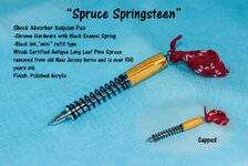 Spruce-Springsteen-email.jpg