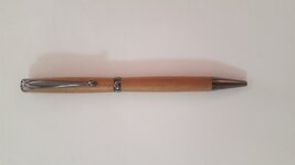 First Pen.jpg