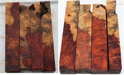 amboyna shorts1aaa.jpg