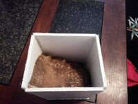 IMG_20170222_160435.jpg
