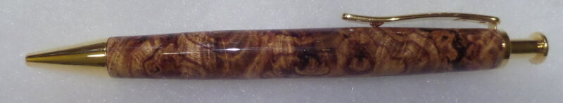 P22L.JPG