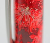 IMG_9267.jpg