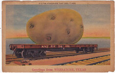 WeesatchePotato.jpg