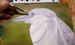 NightHeronUnderpainting,markison2017,800px.jpg