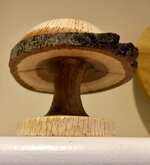 IMG_0075.jpg