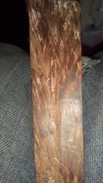 IMG_20170327_074252.jpg
