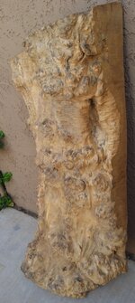 2017-03-27 15.46.57.jpg