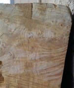 2017-03-27 15.57.55.jpg