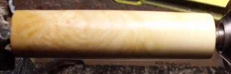 sycamore6.jpg