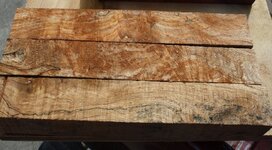abrosia maple burl.jpg