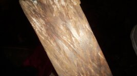 IMG_20170327_074155.jpg
