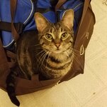 20170408_232141.jpg