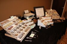 IMG_3573.jpg