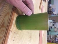 bamboo3.jpg