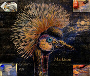 GreyCrownedCraneWoodEngravingHandcoloredPrintMarkison2012signed.jpg