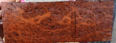 jarrah w.jpg
