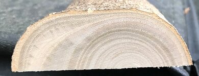 IMG_0116.jpg