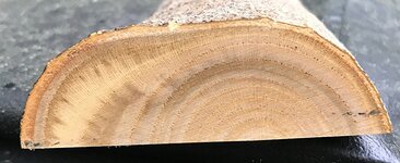 IMG_0117.jpg