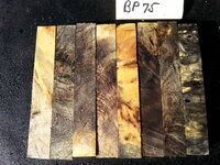 bp75b.jpg bp75b.jpg