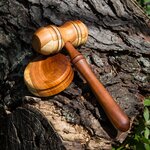 Gavel.jpg