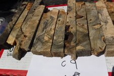 DSCF8134.jpg