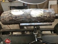 Log.jpg