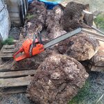 maple burls small.jpg