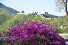 China 022.jpg