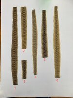 Snakeskin1.jpg