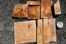 curly maple.jpg