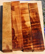 curly koa.jpg