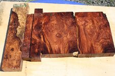 rosewood burl.jpg