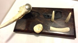 IMG_0928.jpg