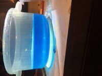 IMG_6804.jpg