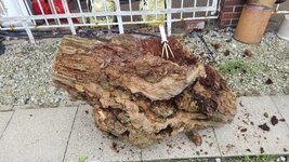 20170422_131625.jpg