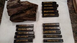 Ironwood2.jpg