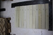 IMG_0032.jpg