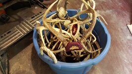 20170702_163411-2656x1494.jpg