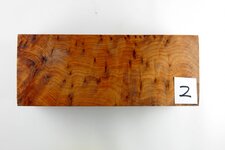 KK2X5251.jpg